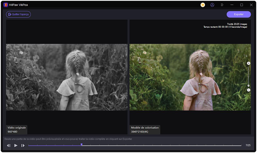Modèle de colorisation