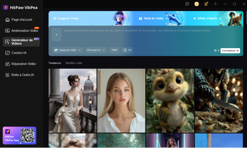 choisissez la fonctionnalité du générateur de vidéo AI Vikpea