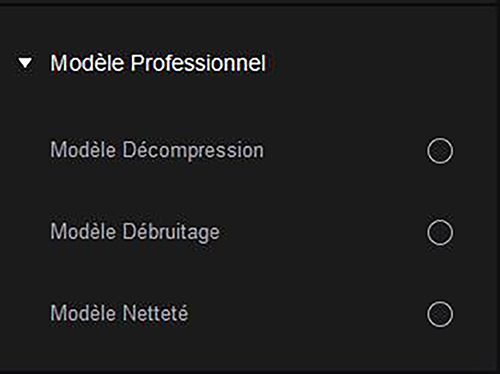 hitpaw vikpea professional model