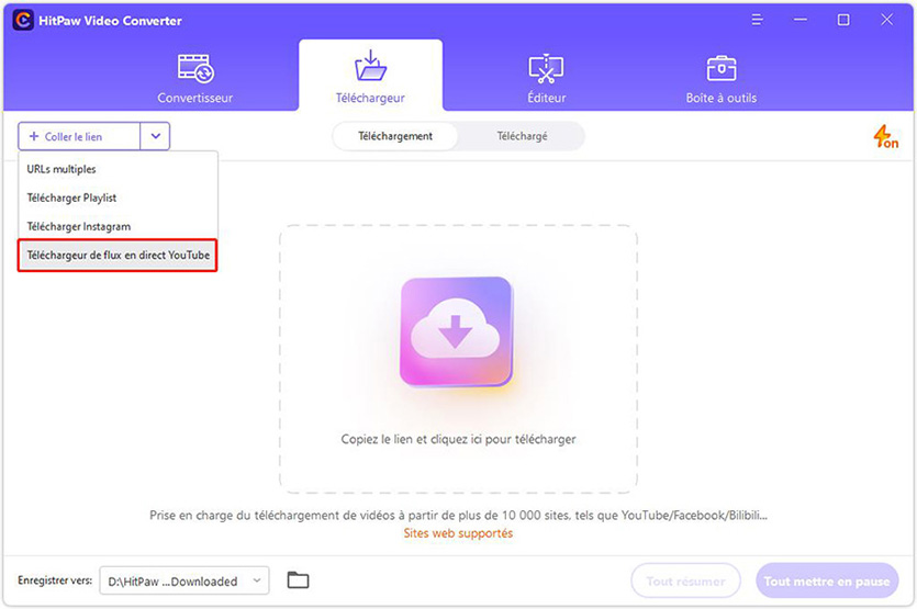 Hitpaw Téléchargeur de live YouTube