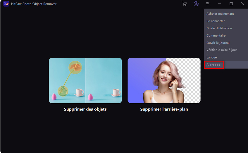 vérifier les informations sur HitPaw photo object remover