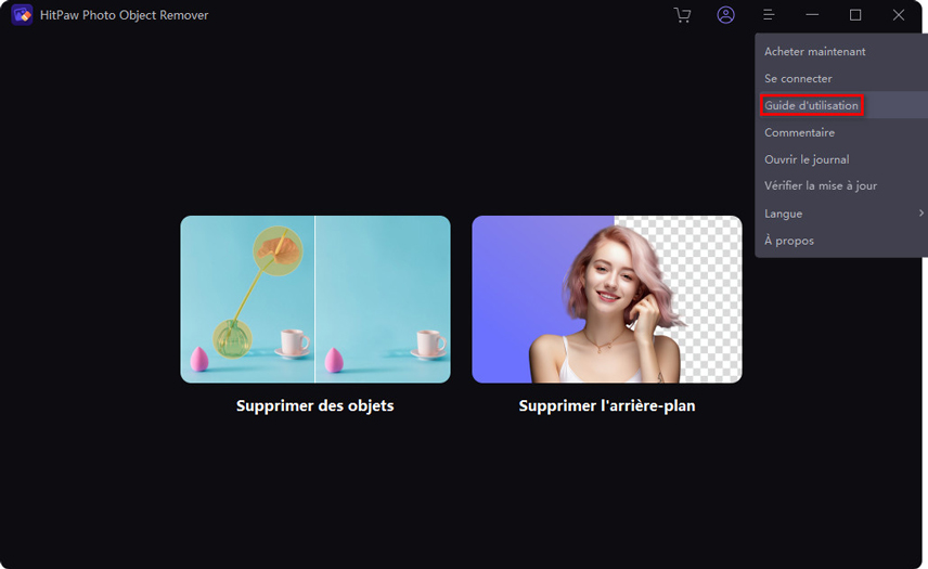 guide d'utilisation sur HitPaw photo object remover