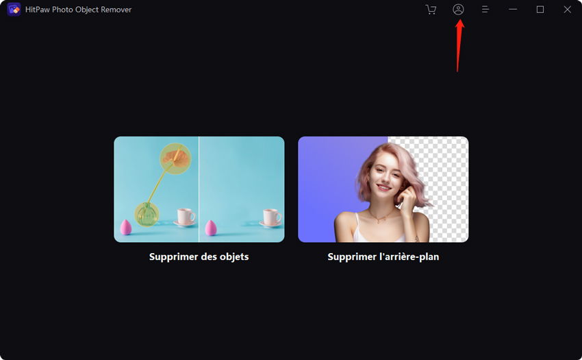 connecter HitPaw Photo Object remover