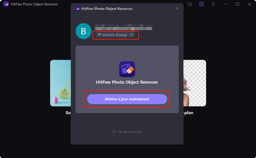se connecter à HitPaw Photo bject remover avec succes