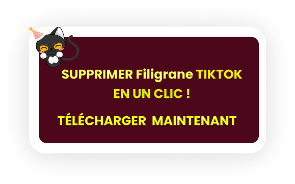 HitPaw Suppression Filigrane