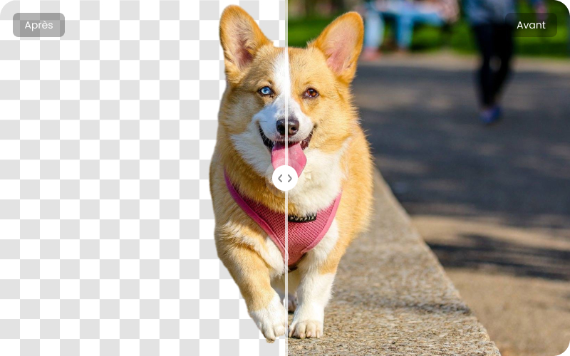 enlever le fond d une image sur word