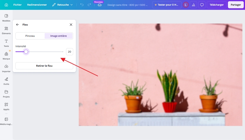 canva flouter image