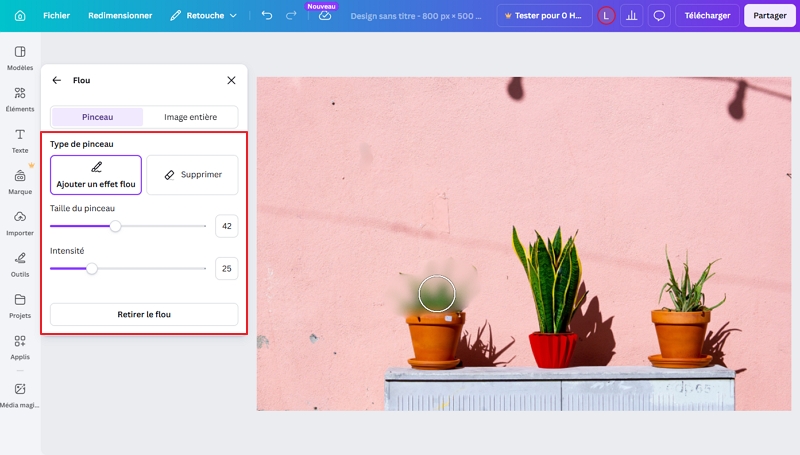 canva flouter partie d'image