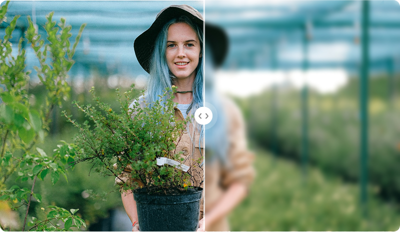 améliorateur d'image befunky