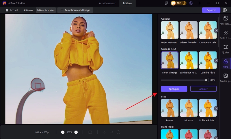 HitPaw FotorPea effet polaroid photo
