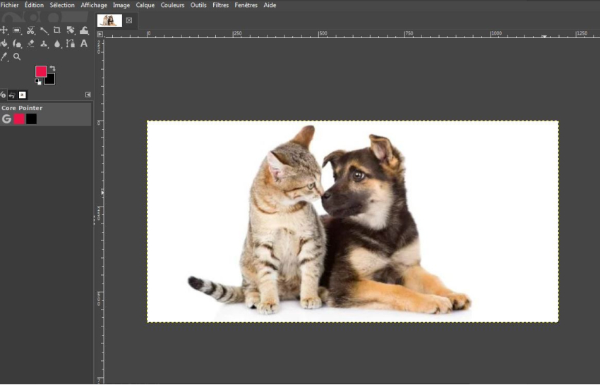 générer photo en dessin