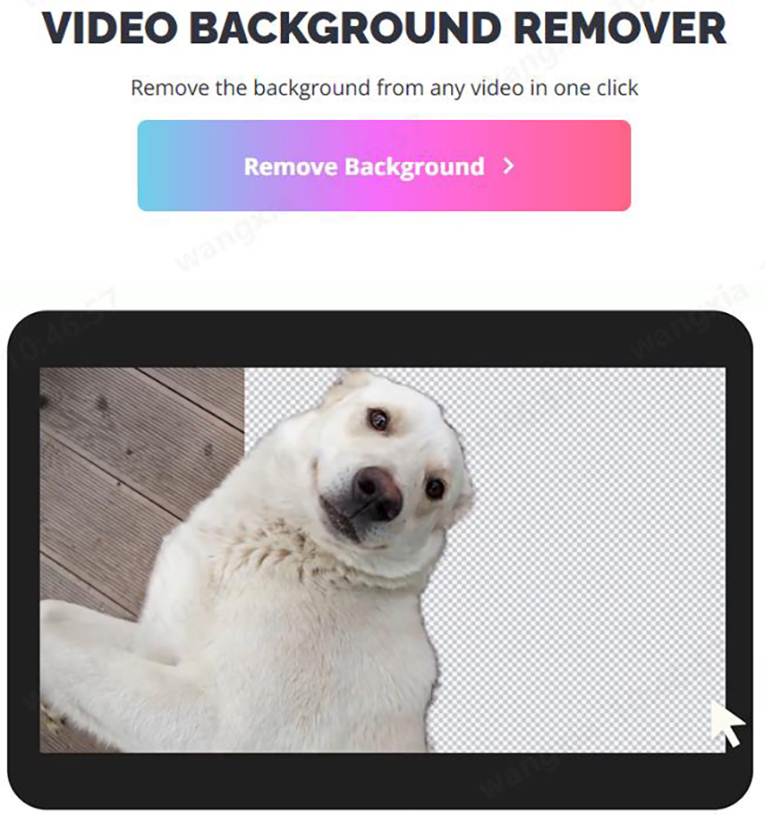 image de Kapwing - supprimer l'arrière plan d'une vidéo en ligne gratuit