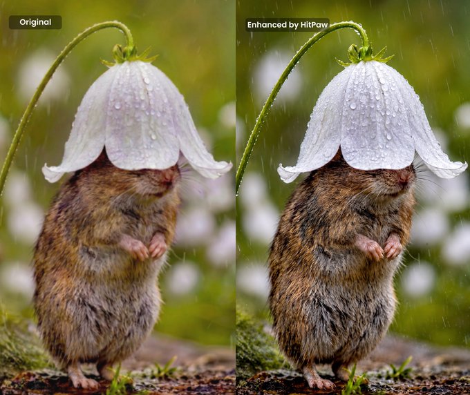 before-and-after comparison of video enhancement