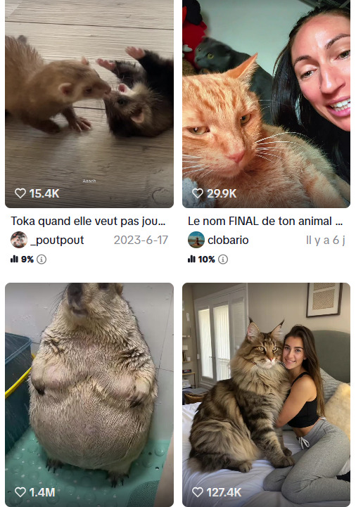 tendance tiktok 2025