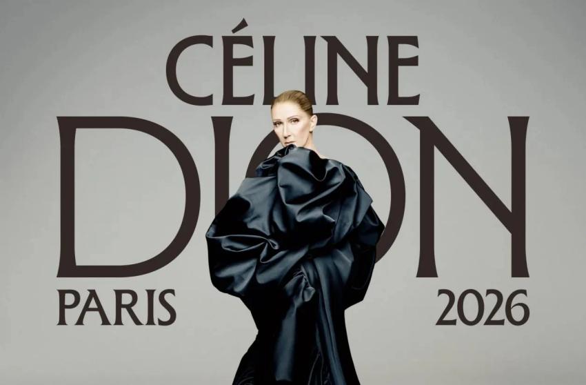 concert de céline dion à paris