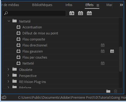 premiere pro améliorer qualité vidéo
